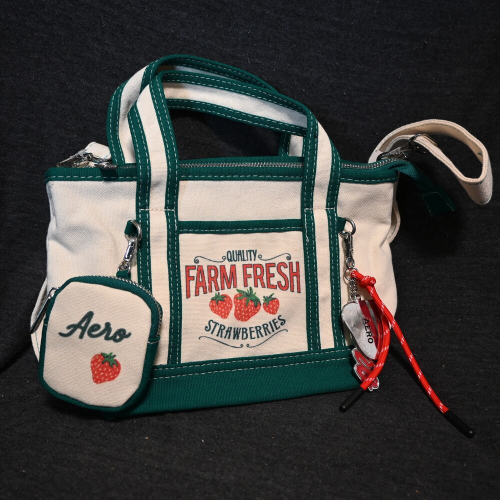 Aeropostale Farm Fresh Strawberries Canvas Mini Tote Shoulder Bag